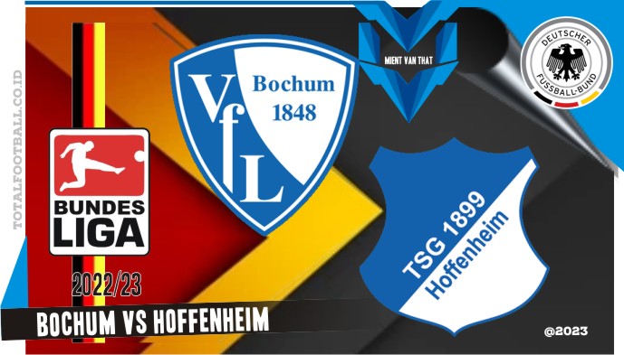 Bochum vs Hoffenheim