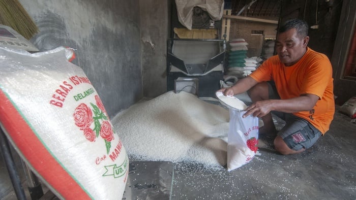 Pemerintah Beri Bantuan Beras