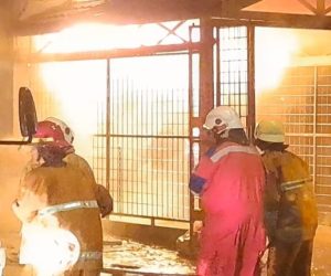 IMG-20231008-WA0024-768x432