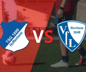 Prediksi Hoffenheim vs Bochum, Bundesliga 9 Desember 2023