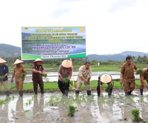 Pj Bupati Iswanto