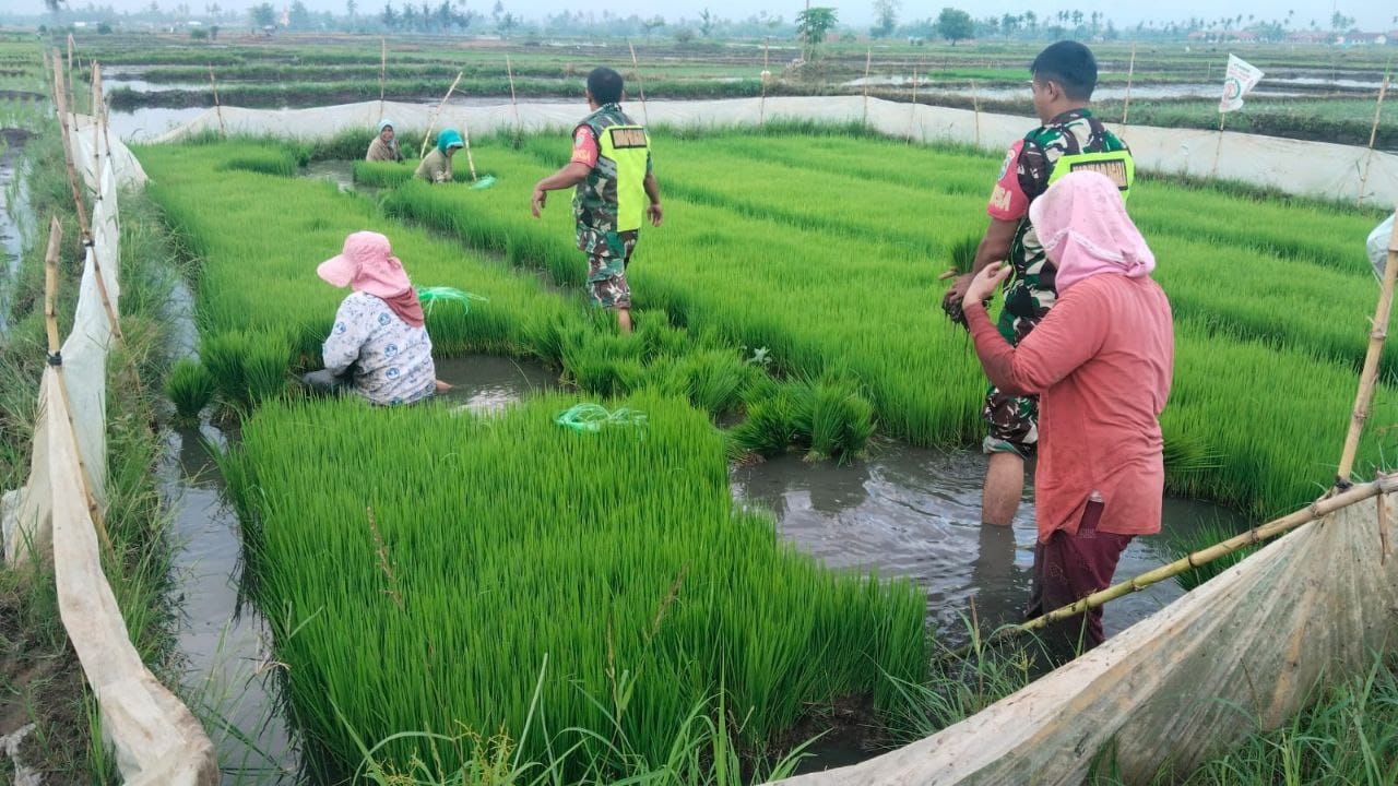TNI agar Bantu Petani
