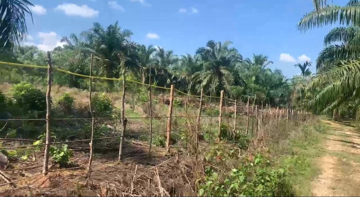 Sucofindo Mulai Verifikasi