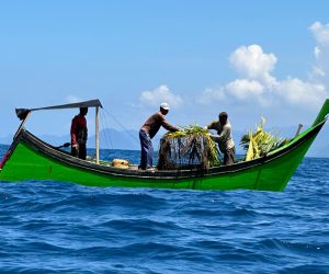 Dari Aceh untuk Dunia: