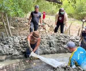 Raksasa Laut Terdampar