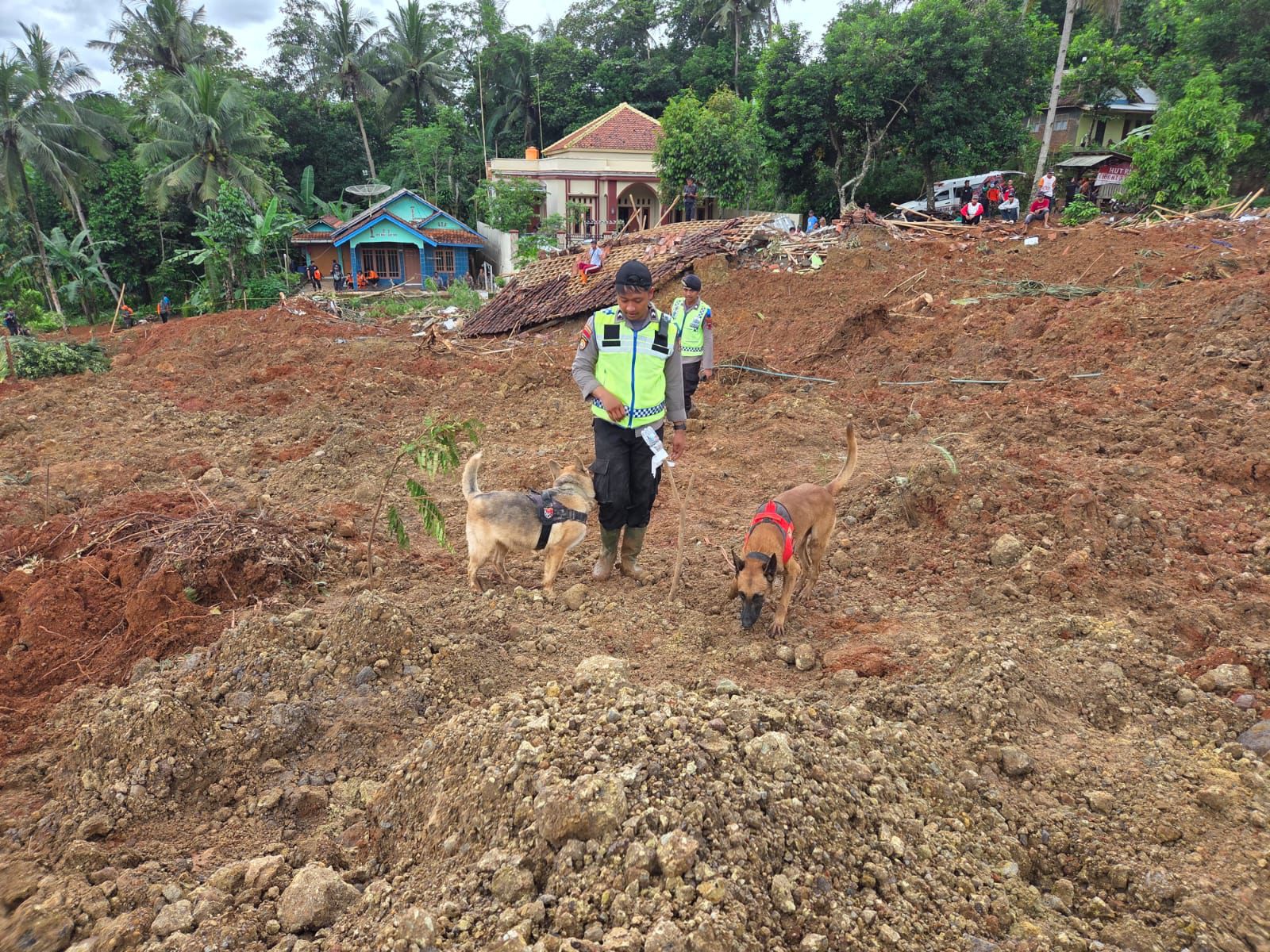 Polri Kerahkan Anjing Pelacak dalam Pencarian Korban Longsor Cilacap