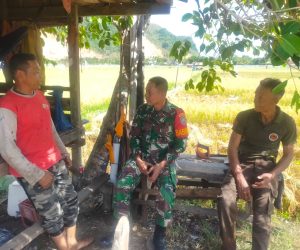 Pererat Kedekatan, Babinsa Peukan Bada Gelar Komsos dengan Warga Gampong Baro