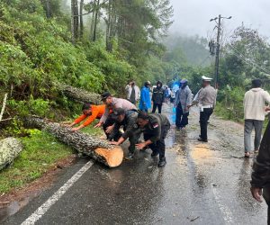 IMG-20251125-WA0018 Arus Lalin Takengon-Bintang Kembali Normal Usai Pohon Tumbang, Polres Aceh Tengah Siap Respon Cepat