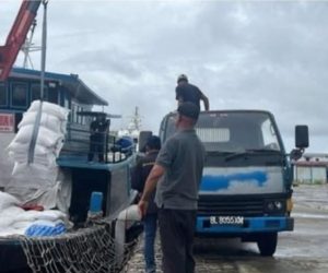 250 Ton Beras Ilegal Masuk Lewat Sabang, Mentan Amran Perintahkan Penyegelan dan Usut Dalangnya