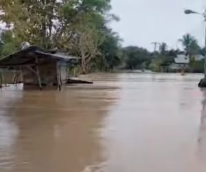 8 Desa di Kemukiman Buwah Terisolir, Stok Sembako Habis: Warga Lhok Eucin Desak Bantuan Darurat