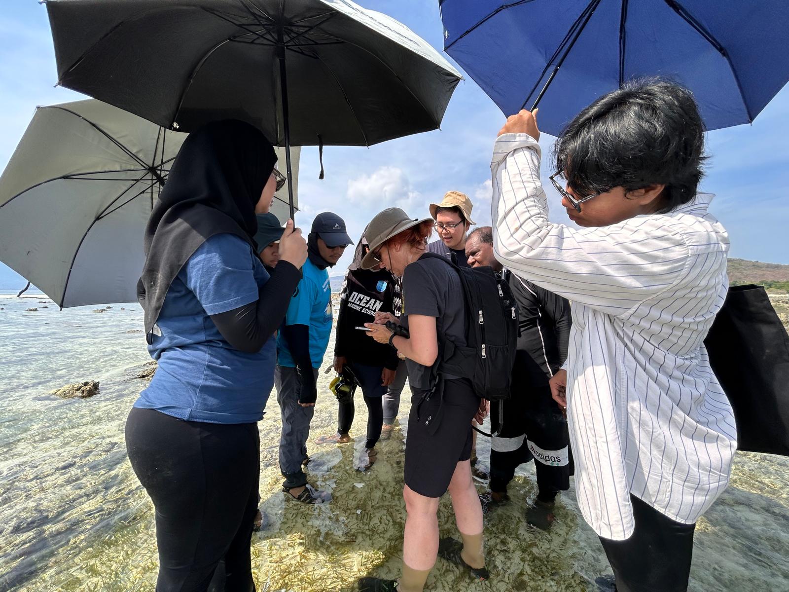 Kuva Space bersama WWF-Indonesia Menghadirkan Teknologi Satelit Hiperspektral