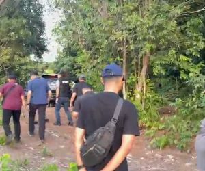 Screenshot_2026-03-01-23-44-48-04_6012fa4d4ddec268fc5c7112cbb265e7