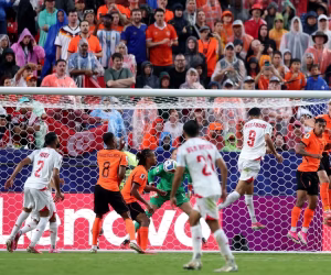 Belanda vs Tunisia 3-1