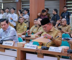 Percepat Pemulihan Pascabencana Pusat Dan Daerah Bersinergi