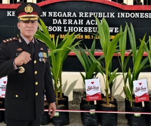 Dari Papan Bunga ke Bibit Pohon