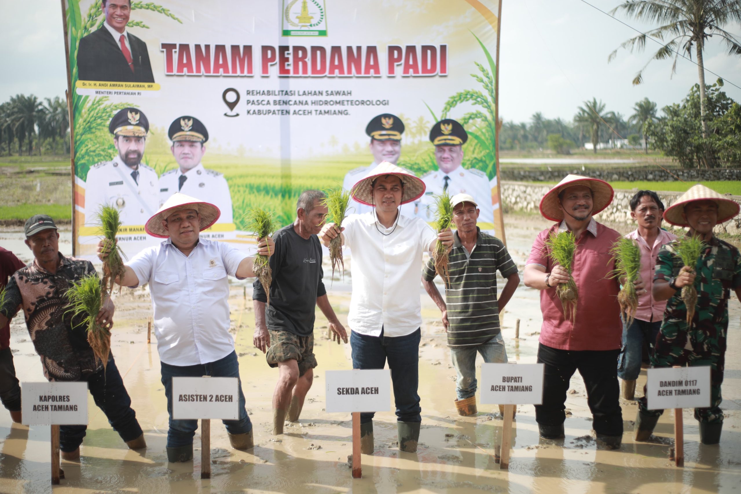 Pimpin Tanam Padi Perdana Pasca Bencana