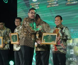 Wakili Gubernur
