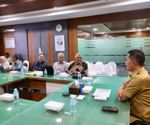 Migas Blok Andaman, Sejumlah Korporasi Lirik Hilirisasi KEK Arun