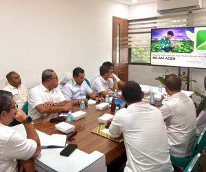 Nilam Aceh Miliki Kualitas Terbaik di Dunia