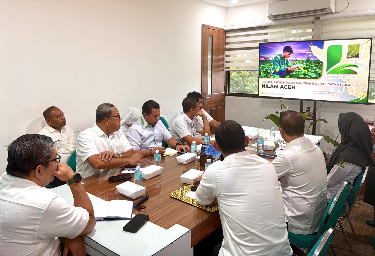 Nilam Aceh Miliki Kualitas Terbaik di Dunia