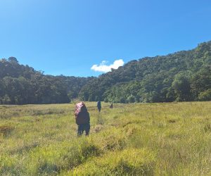 Eksplorasi Gunung Geureudong