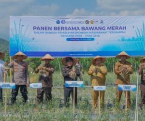 Bank Indonesia Aceh Panen Perdana Bawang Merah