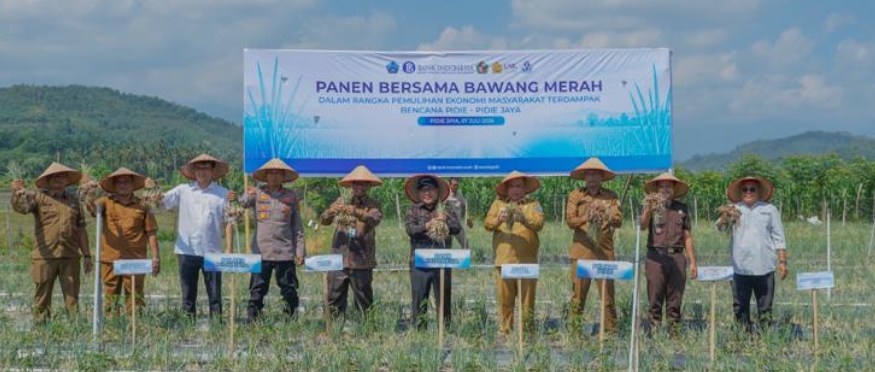 Bank Indonesia Aceh Panen Perdana Bawang Merah