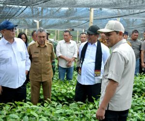 Mentan Apresiasi Kinerja Pemerintah Aceh, Janji Terus Dukung Pengembangan Pertanian dan Kopi Gayo