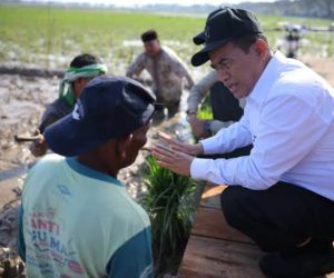 Pemerintah Aceh Pacu Pemulihan Sawah
