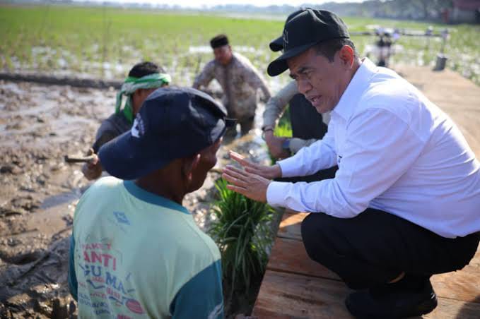 Pemerintah Aceh Pacu Pemulihan Sawah