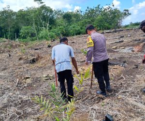 Dukung Ketahanan Pangan Bhabinkamtibmas dan Tani Elang Tanam Ini
