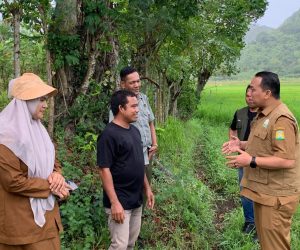 Atasi Kekeringan Sawah Ini Yang Dilakukan Pemkab Abes