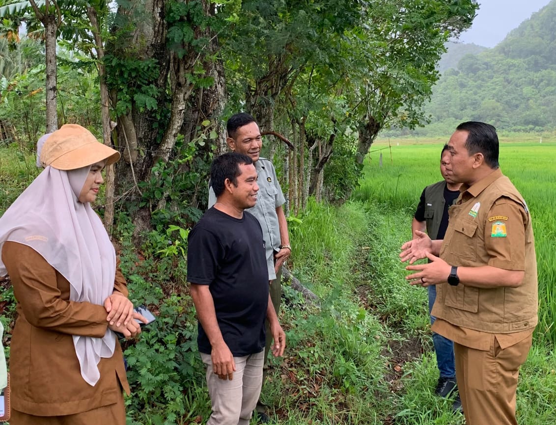 Atasi Kekeringan Sawah Ini Yang Dilakukan Pemkab Abes