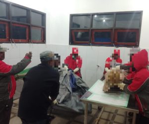 Lima Pekerja Proyek Tewas Ditembak OTK