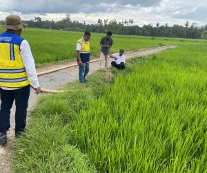 WhatsApp Image 2026-08-04 at 19.27.17 Pemkab Terus Pantau Lahan Petani Terdampak