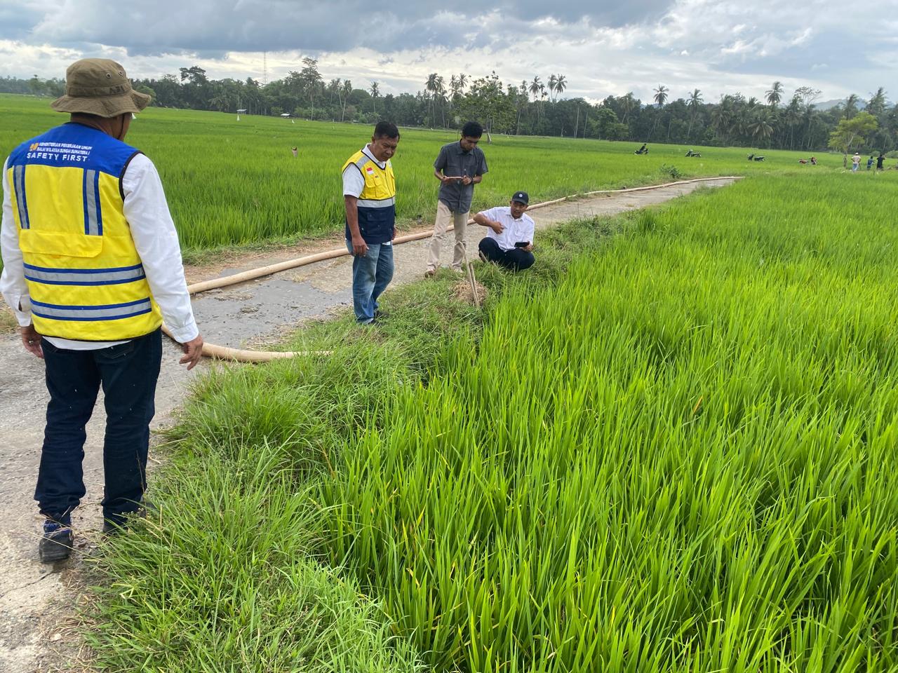 Pemkab Terus Pantau Lahan Petani Terdampak
