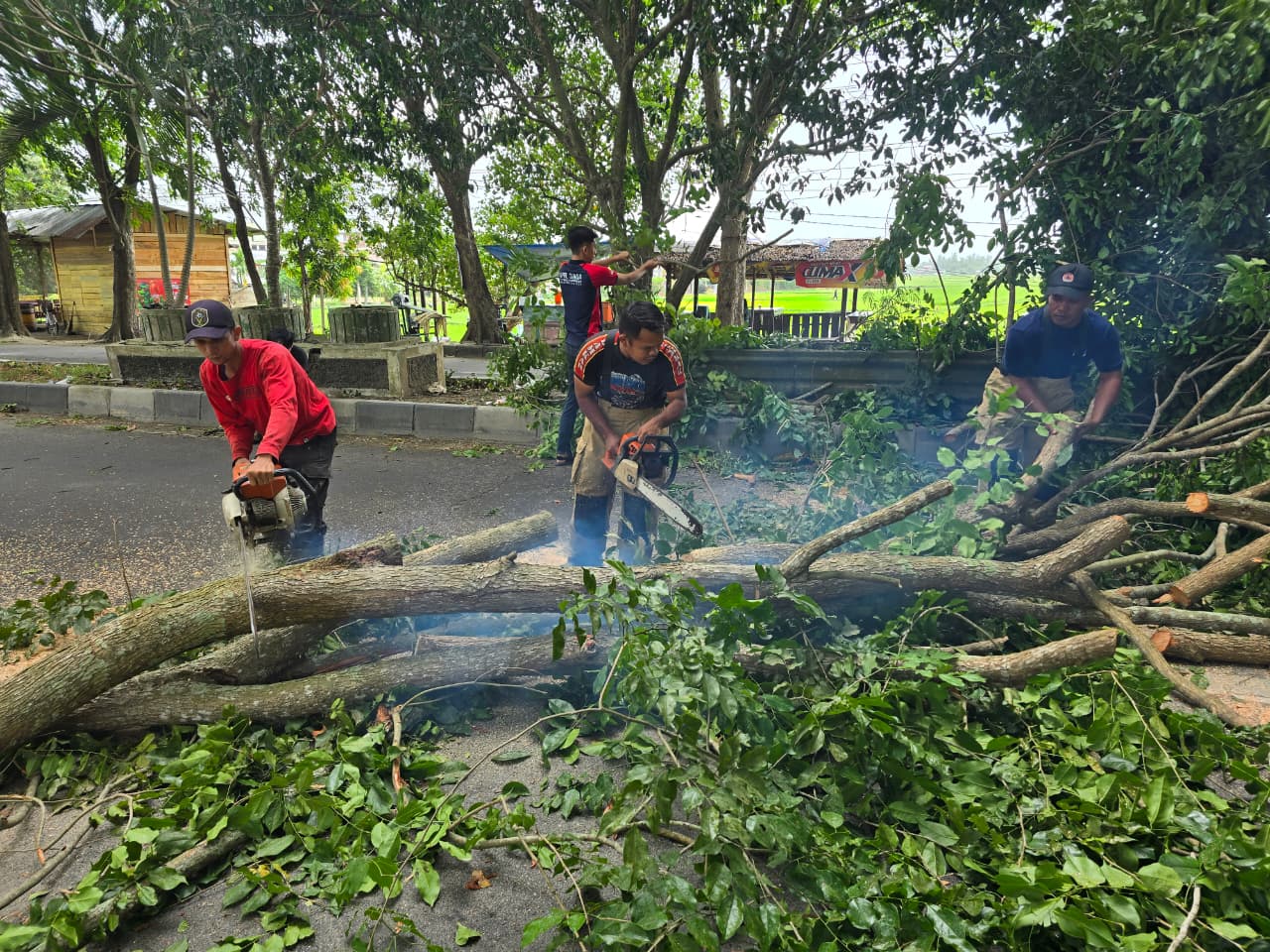 BPBD Bekerja Exstra Tangani Dampak Angin Kencang